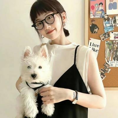 把西藏带回家