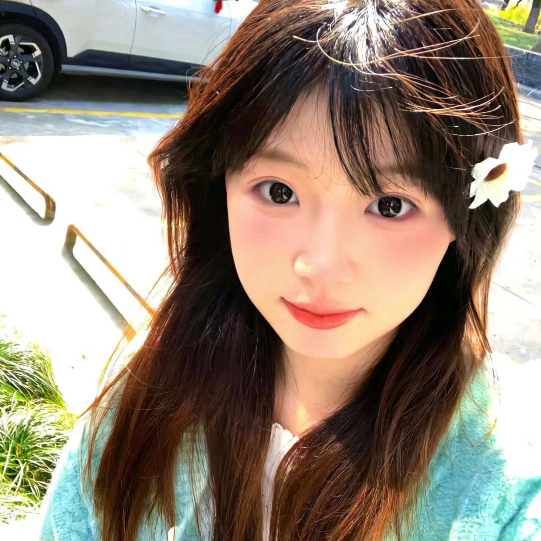 13朵玫瑰